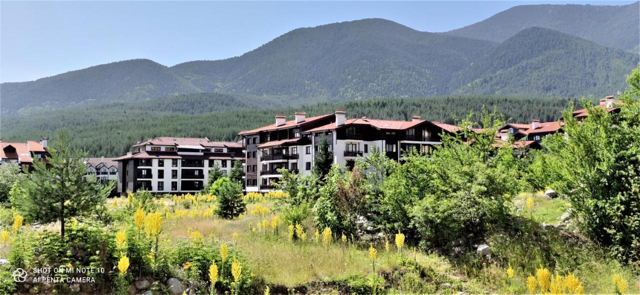 Predela 1 - Studio 10 Near Bansko Ski Lift エクステリア 写真
