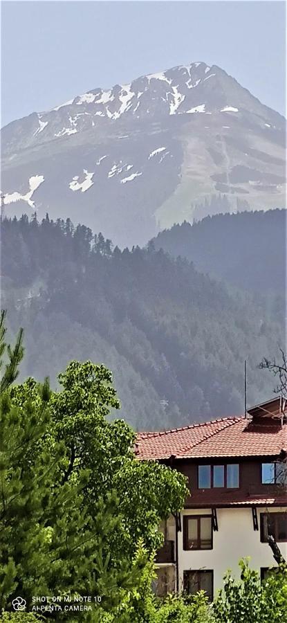 Predela 1 - Studio 10 Near Bansko Ski Lift エクステリア 写真